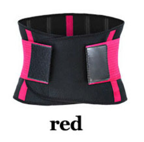 Waist Support Belt Back Waist Trainer Trimmer Belt Gym Waist Protector –  Omni Online Shop